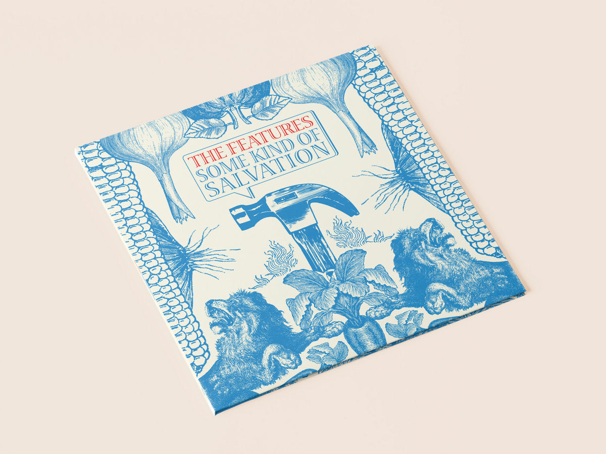 The Features: Some Kind of Salvation 2xLP