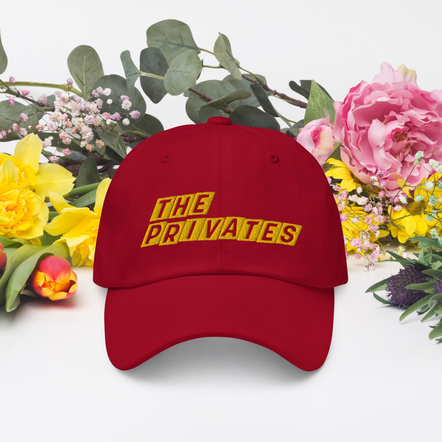 The Privates: Mailbox Dad hat