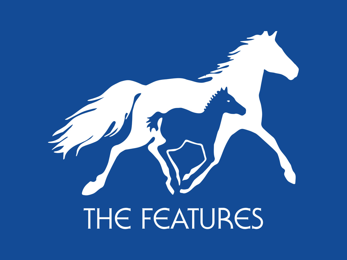 The Features: The Horse Sweatshirt