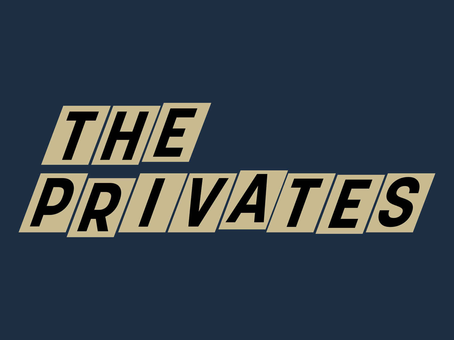 The Privates: Mailbox Tee