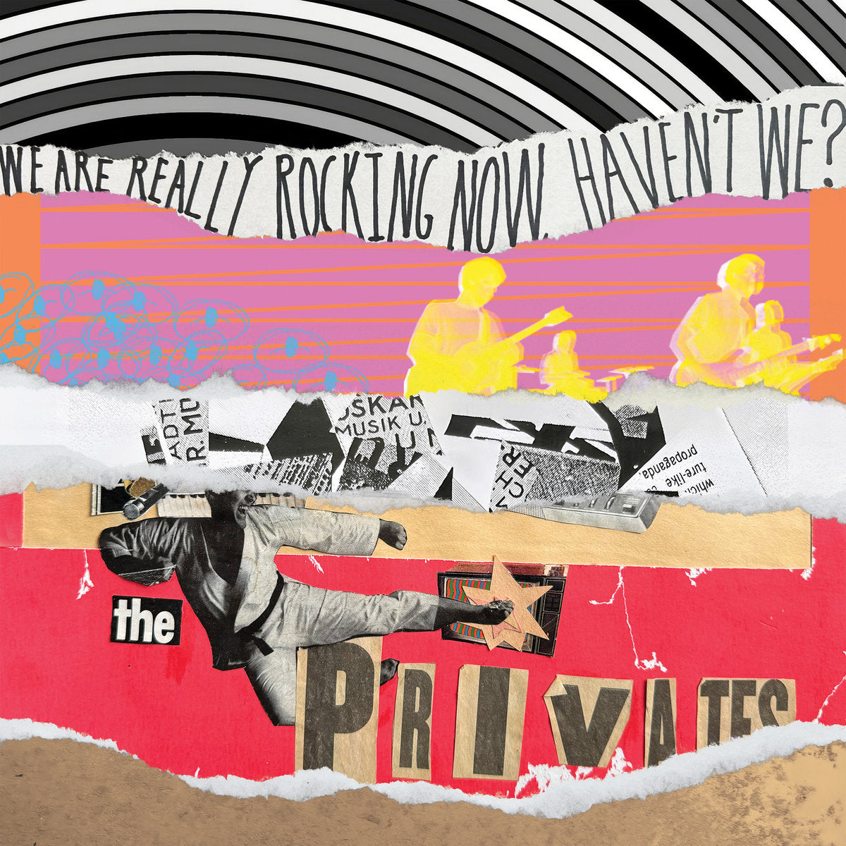 The Privates: We Are Really Rocking Now, Haven't We? Download