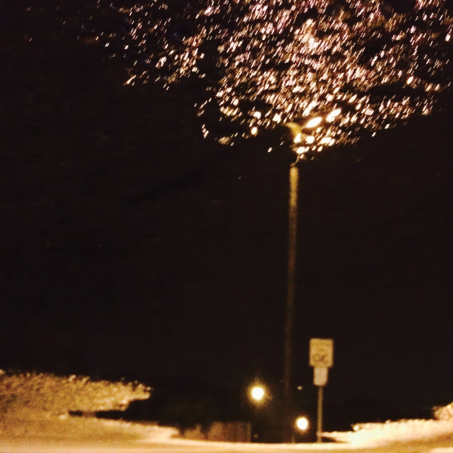 Zook: Evaporating Download